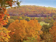 branson