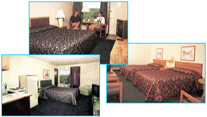 Cedar Cliff Motel - Room options to suit your needs