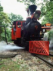 Steam Train