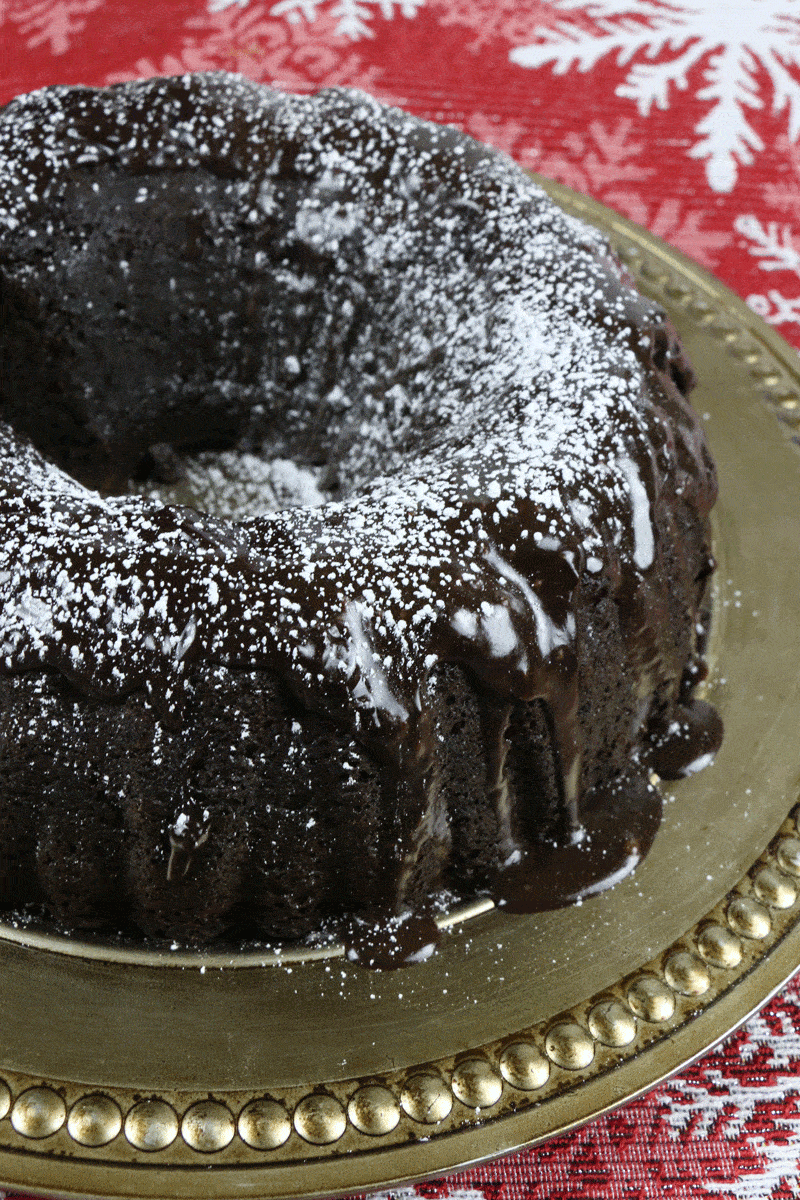 Chocolate Bundt Cake {Using Cake Mix!} - The Seasoned Mom