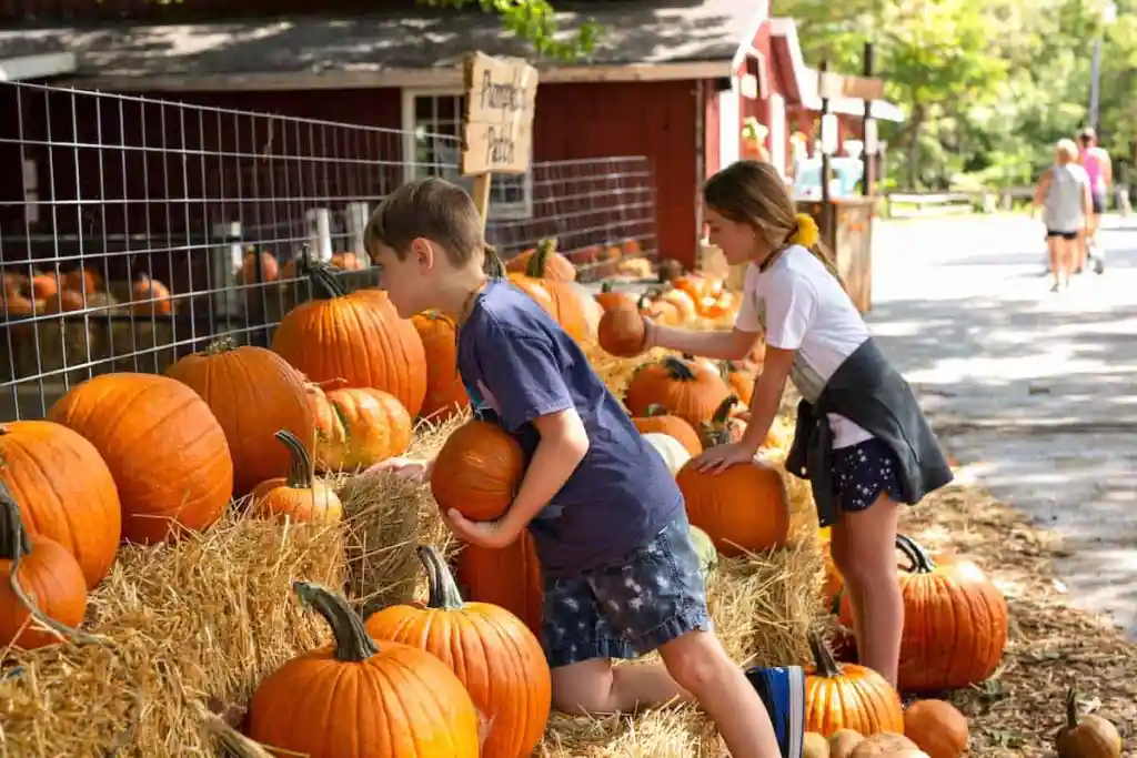 pumpkin_fest_shepherd_of_the_hills_branson