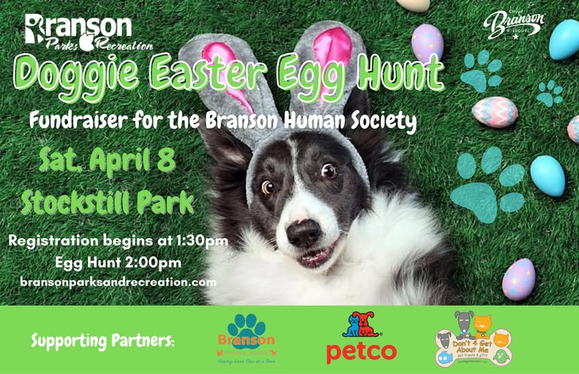 doggie_easter_egg_hunt_branson_mo